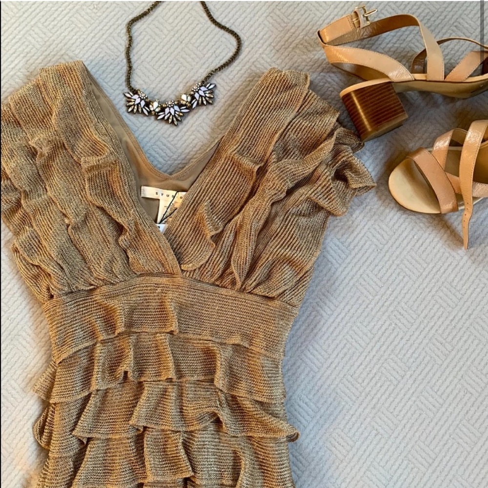 ✨NWT Holiday fancy dress✨